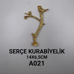 a021 seÇe kurabİyelİk