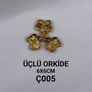 Ç005 ÜÇlÜ orkİde