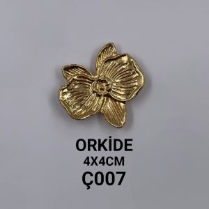 Ç007 orkİde