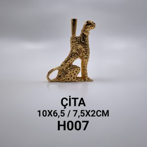 h007 Çİta