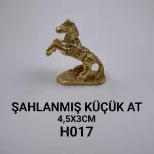h017 ŞahlanmiŞ kÜÇÜk at