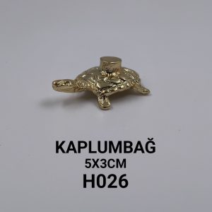 h026 kaplumbaĞ