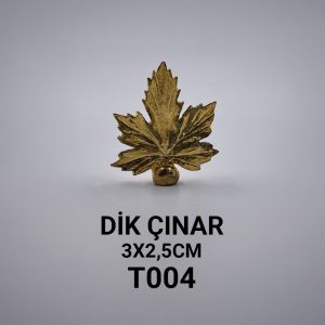 T004 DİK ÇINAR