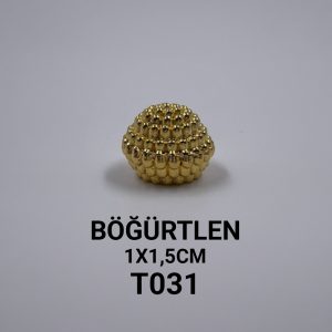 t031 bÖĞÜrtlen